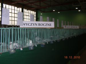 Wystawa  Okręgowa 18.12.2010